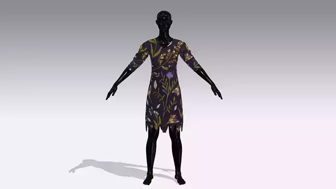 Female Cloth Dress