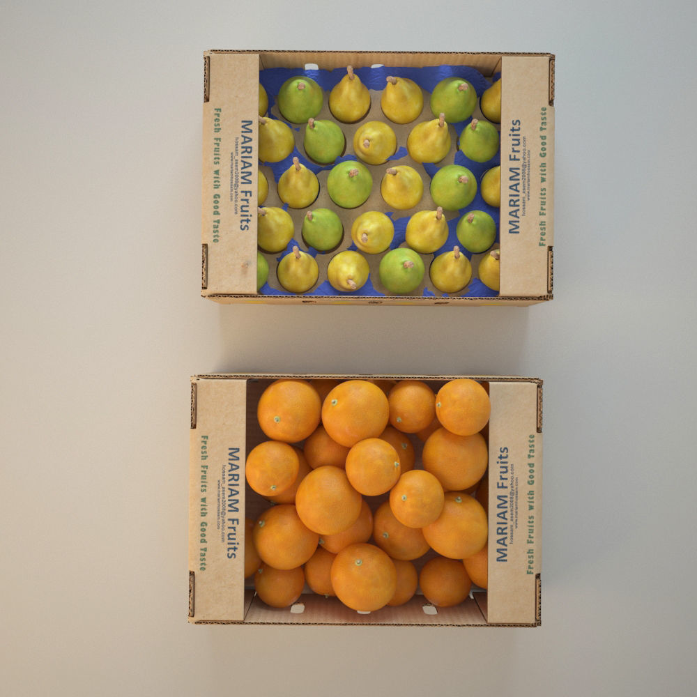 Fruit Set 05 3D model_1