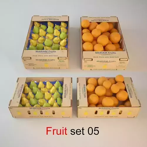 Fruit Set 05