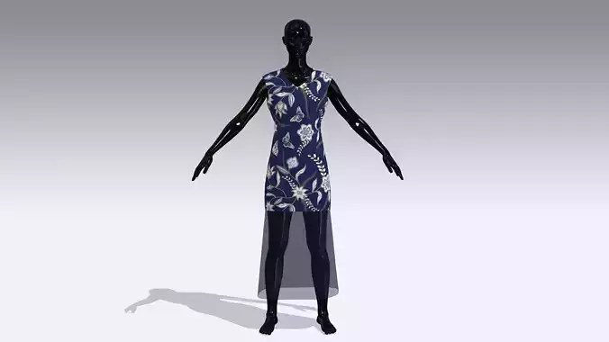 Female Cloth Dress