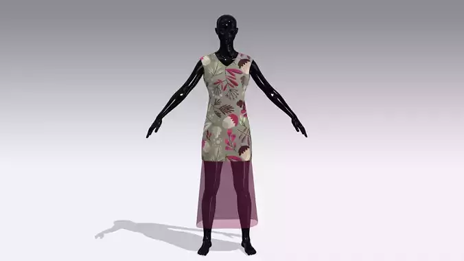 Female Cloth Dress