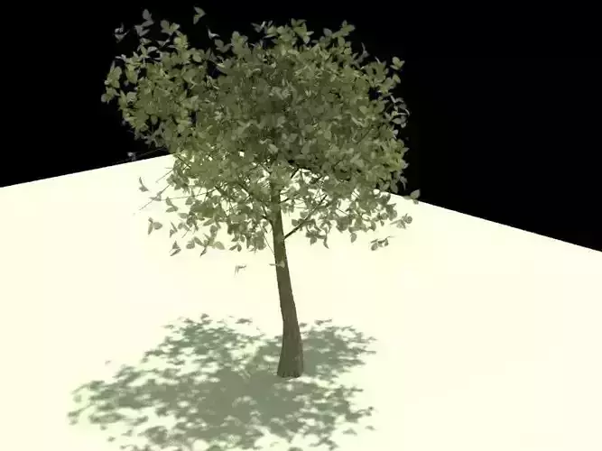 Tree-MeduimPoly two leaves Free low-poly 3D model
