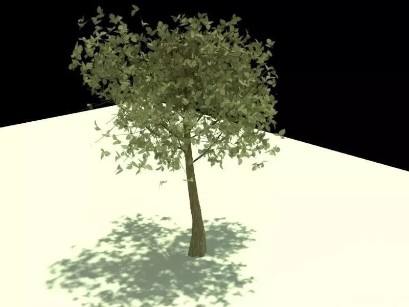 Tree-MeduimPoly two leaves Free low-poly 3D model_0