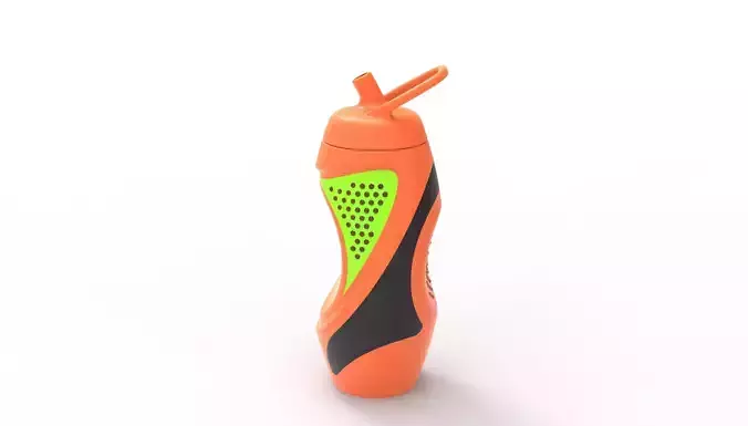 Sports Water Bottle 