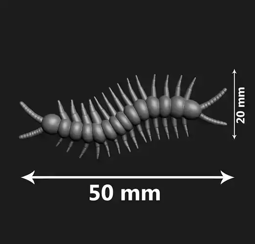 Centipede for 3d print 3D print model