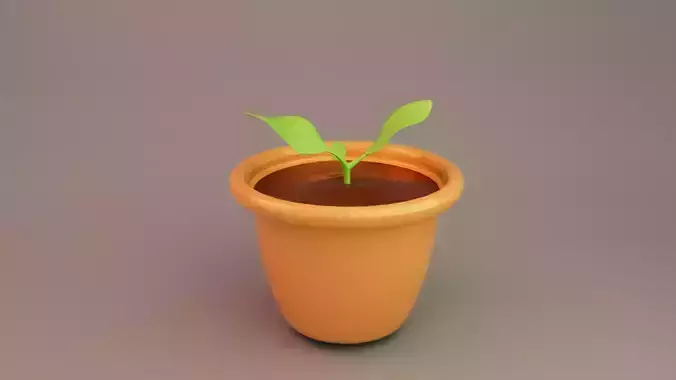 Little Plant