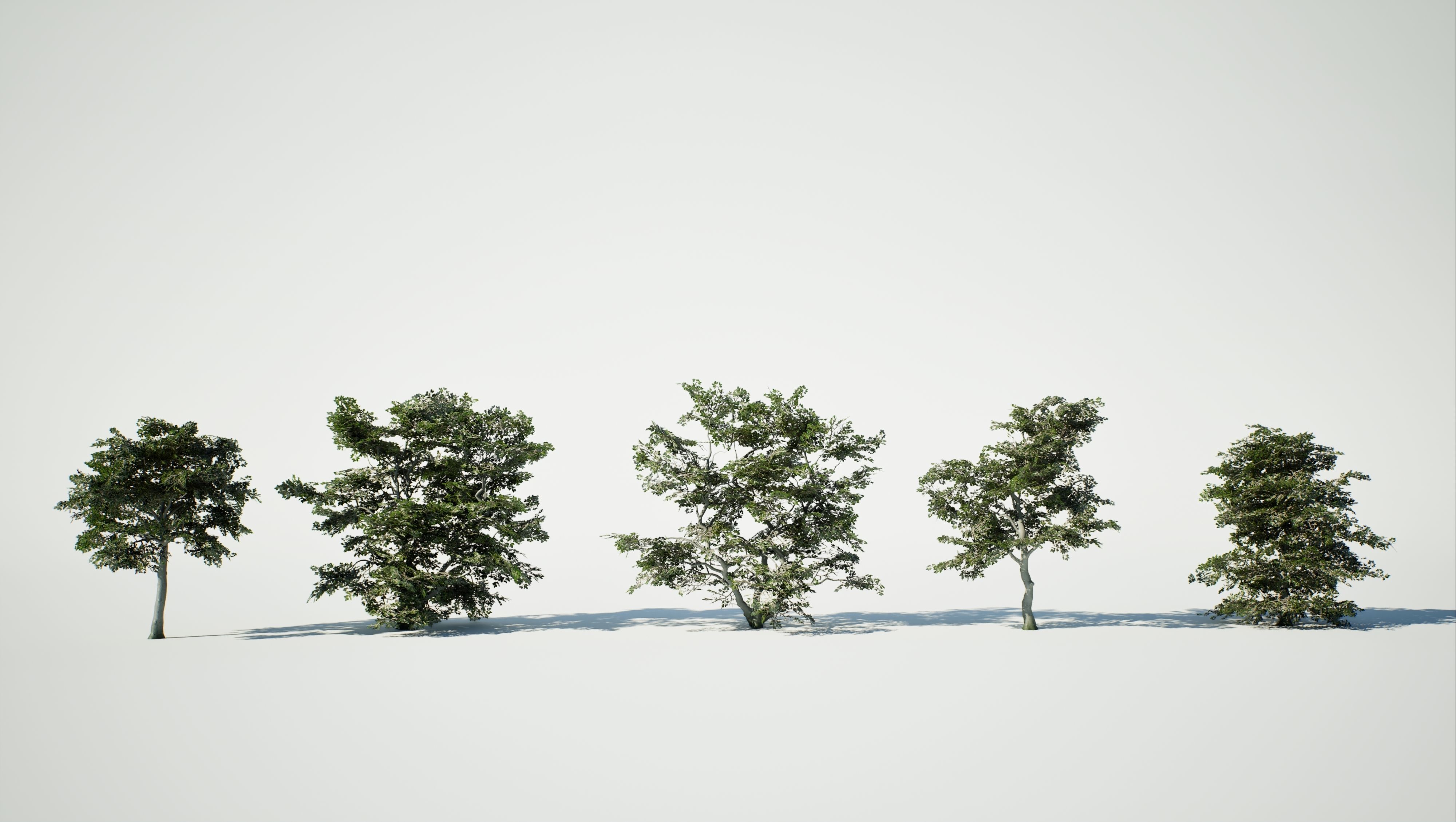 Game Ready Tree Set and Grass Low-poly 3D model_16