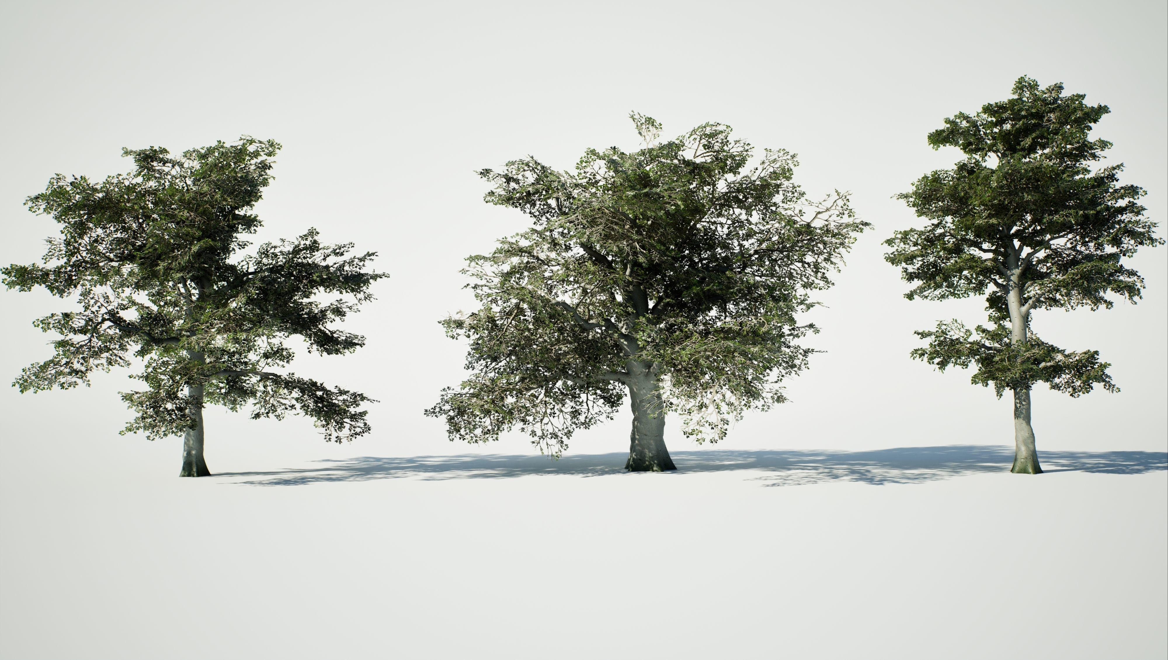 Game Ready Tree Set and Grass Low-poly 3D model_15