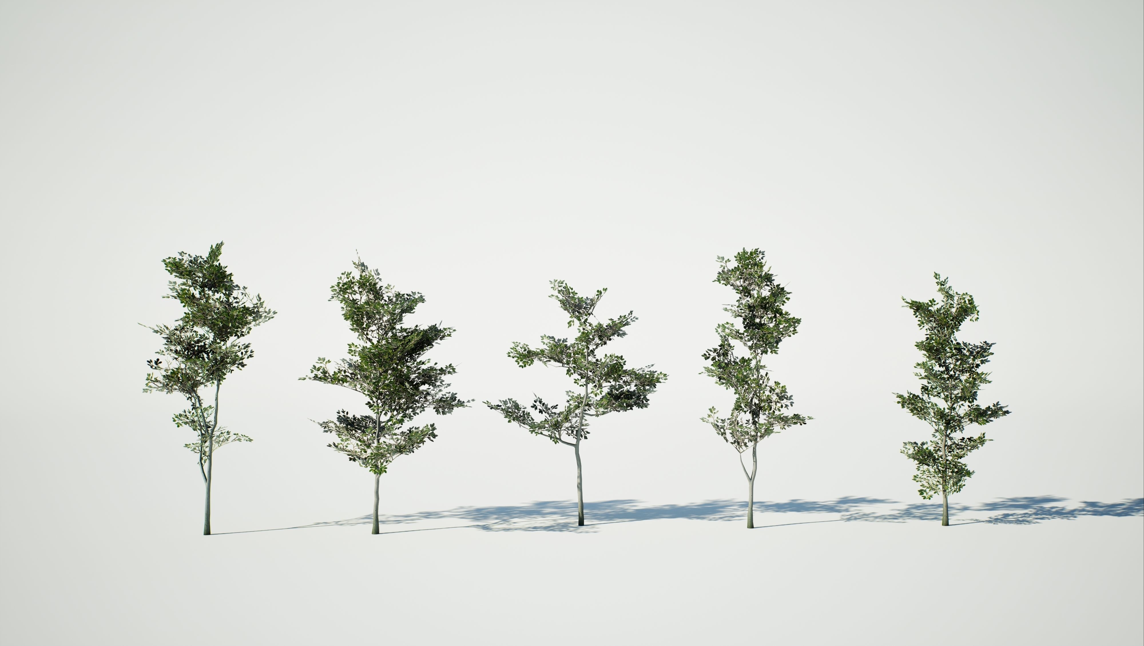 Game Ready Tree Set and Grass Low-poly 3D model_17