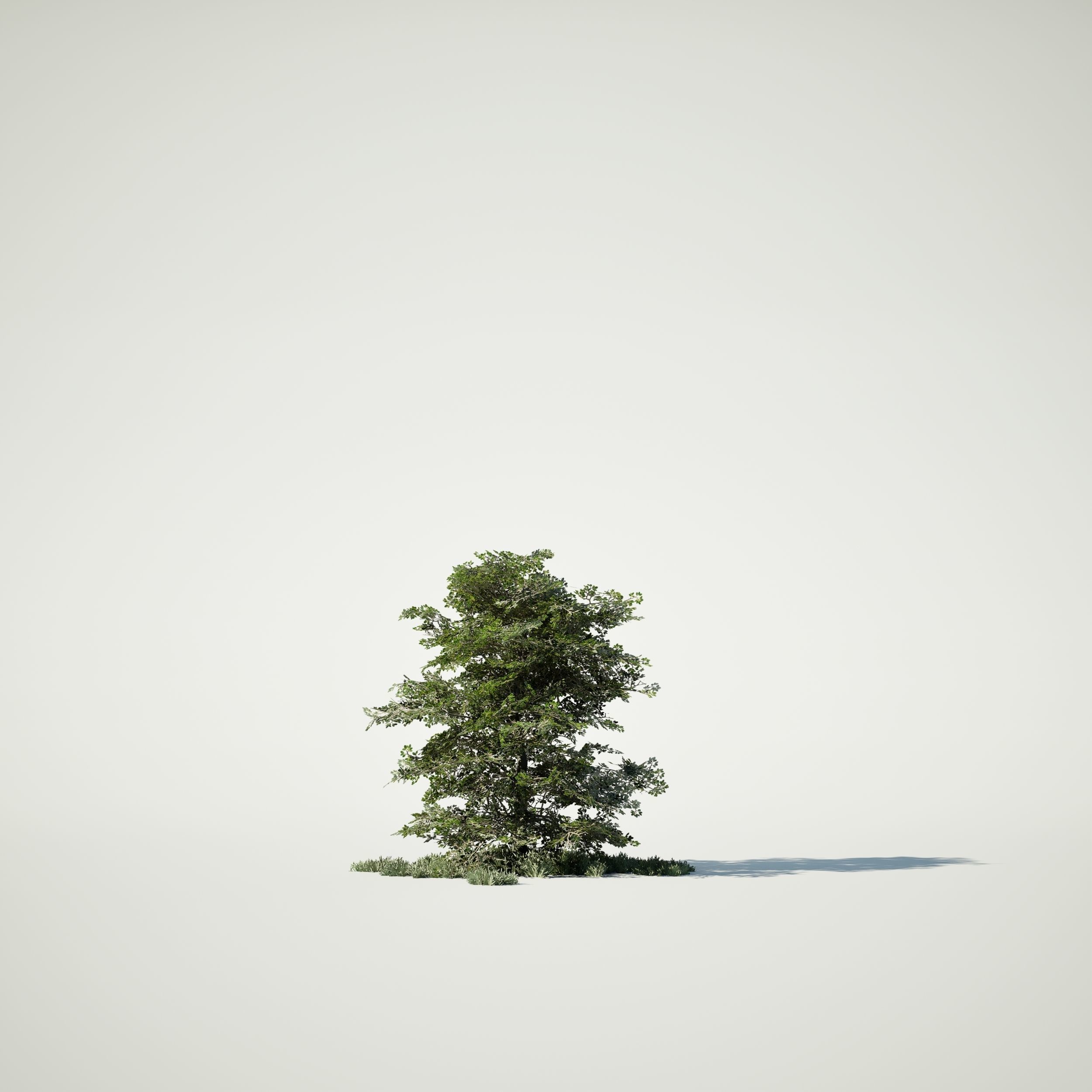 Game Ready Tree Set and Grass Low-poly 3D model_9
