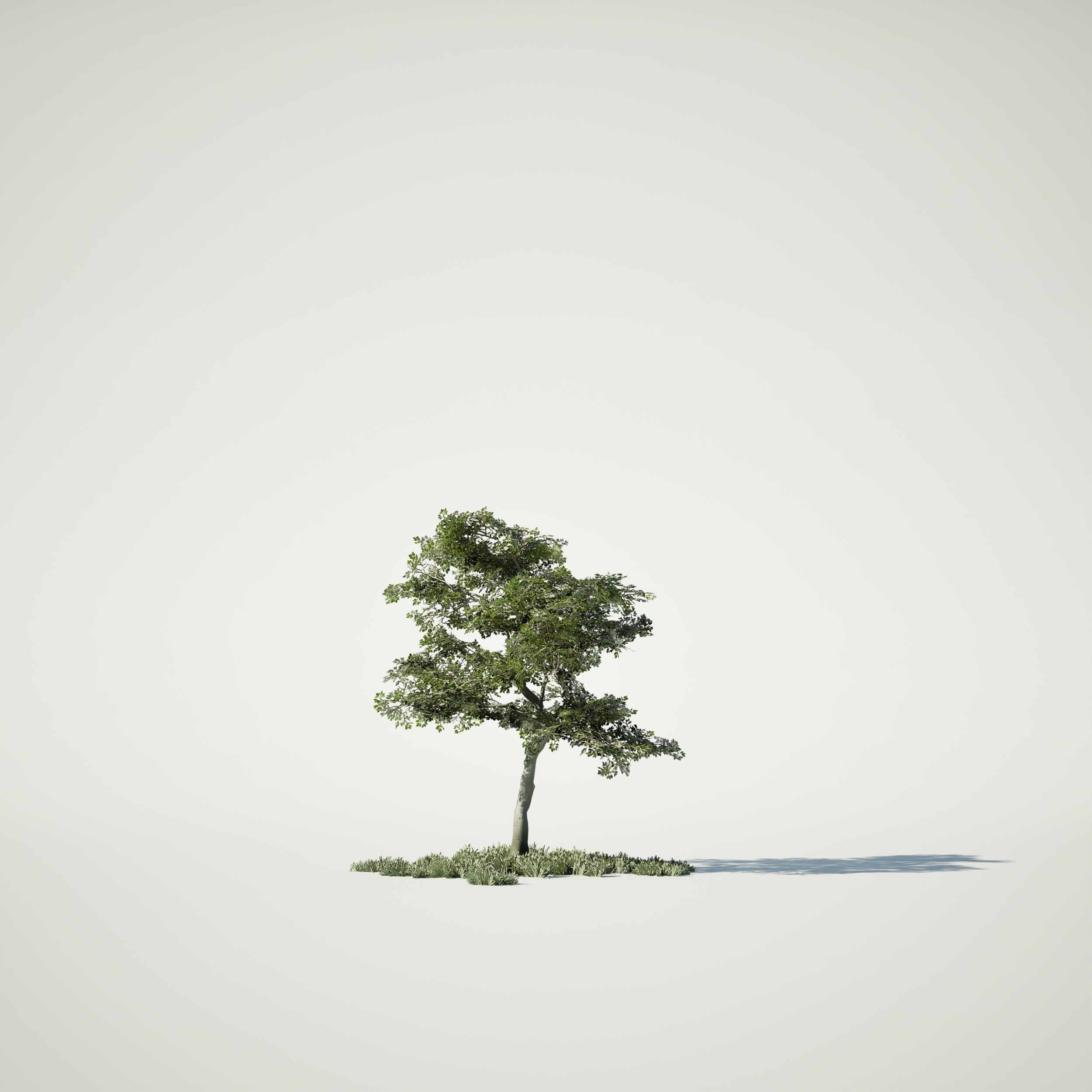Game Ready Tree Set and Grass Low-poly 3D model_6