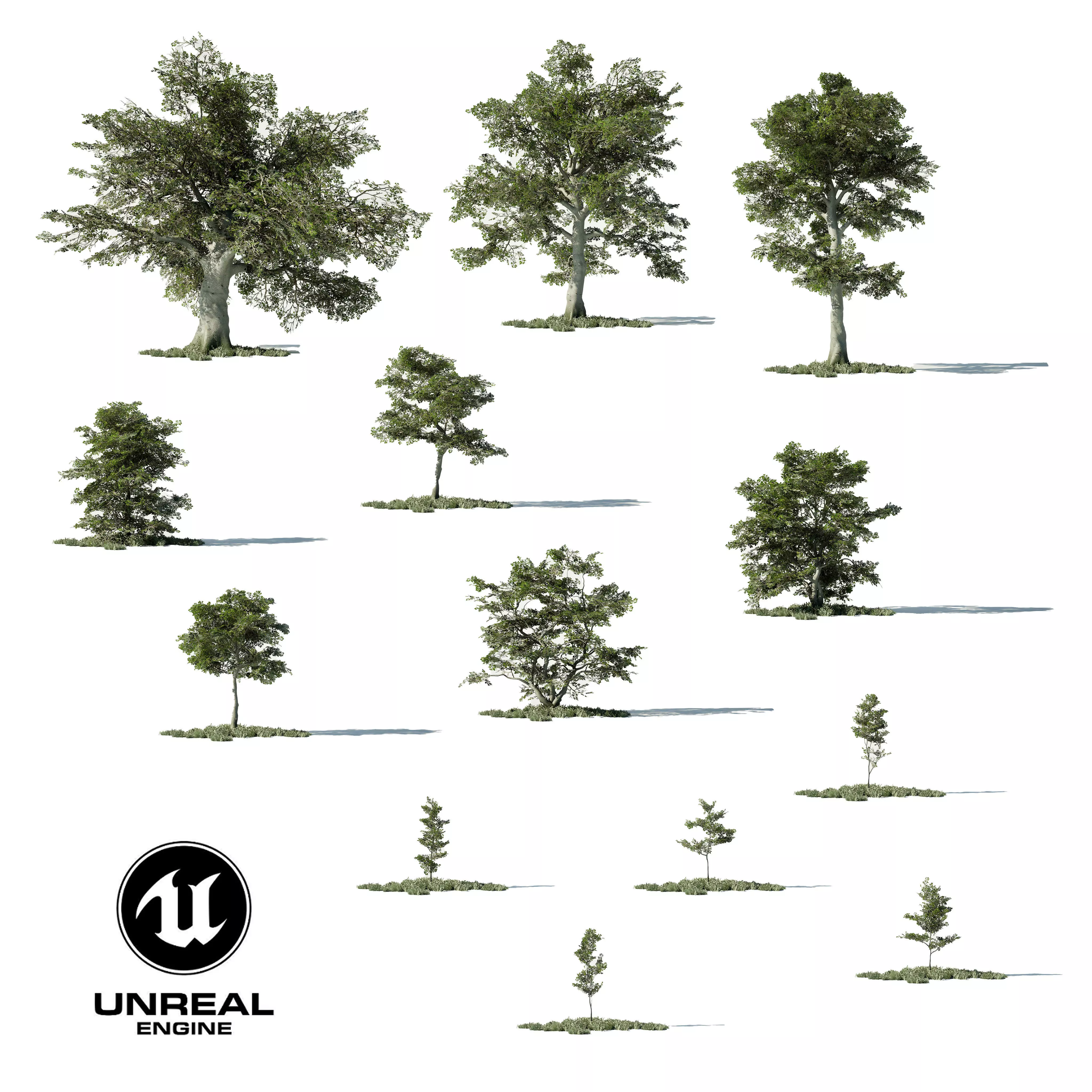 Game Ready Tree Set and Grass Low-poly 3D model_0