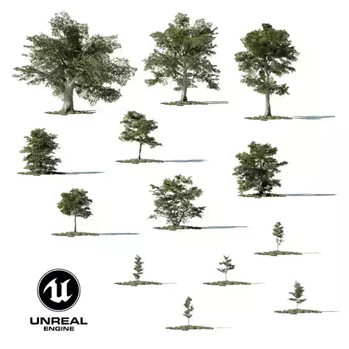 Game Ready Tree Set and Grass Low-poly 3D model