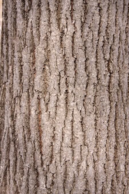 WineCellarSwapPacked living room with two chairs and bottle o... Free 3D model_2