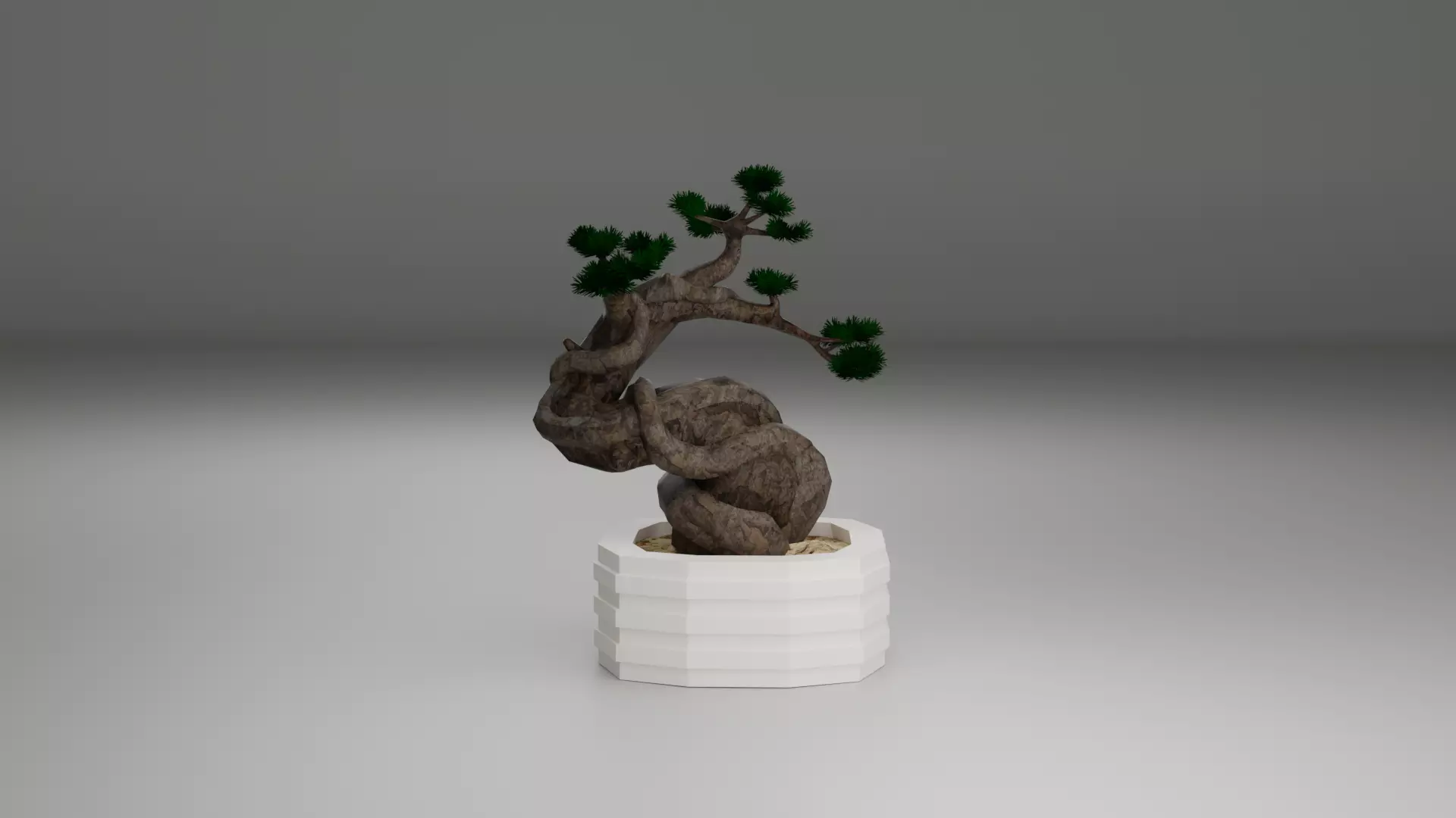 Bonsai 3D model_0