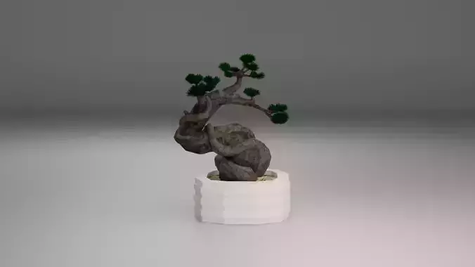 Bonsai 3D model