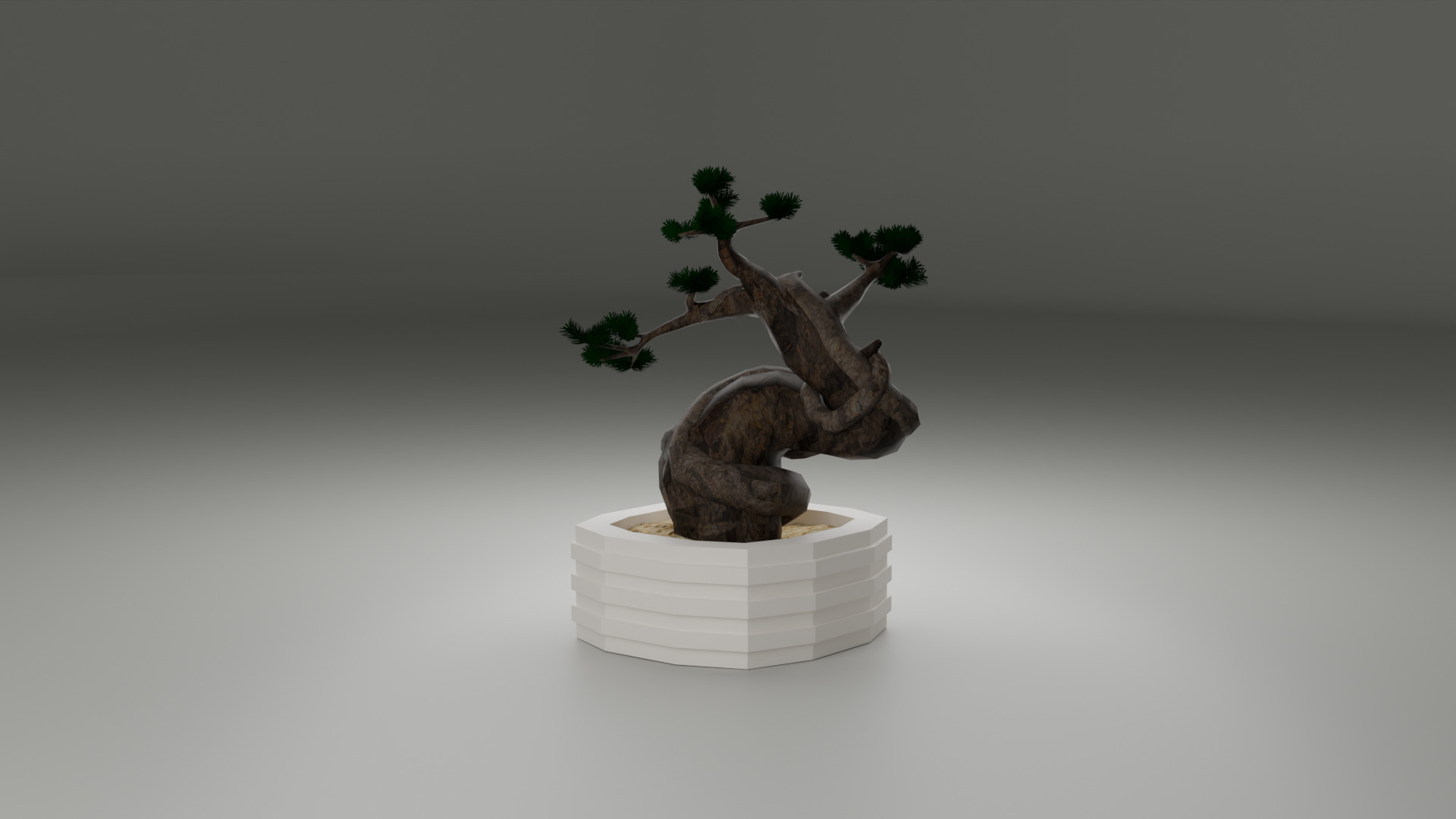 Bonsai 3D model_7