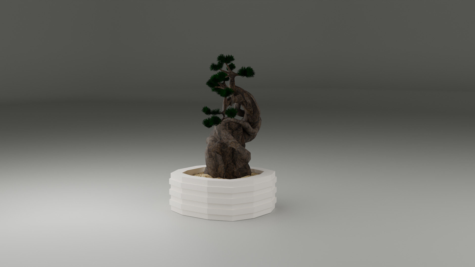 Bonsai 3D model_4