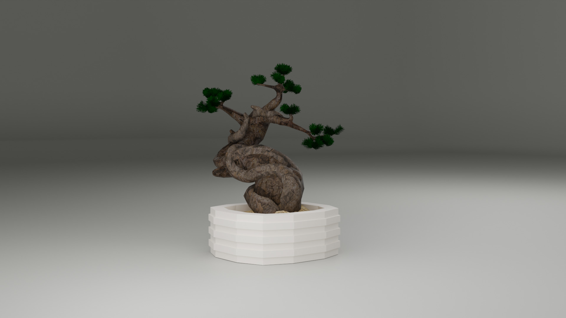 Bonsai 3D model_2