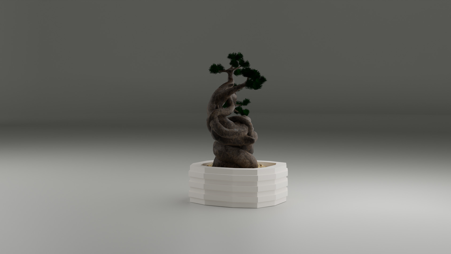 Bonsai 3D model_9