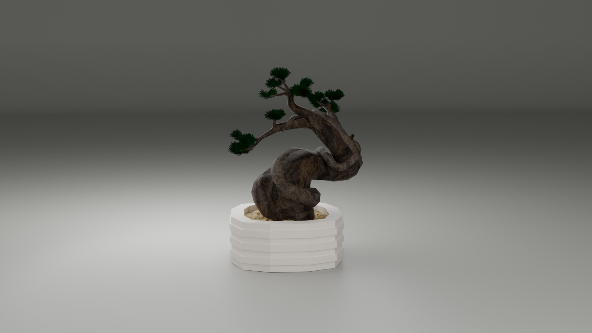 Bonsai 3D model_6