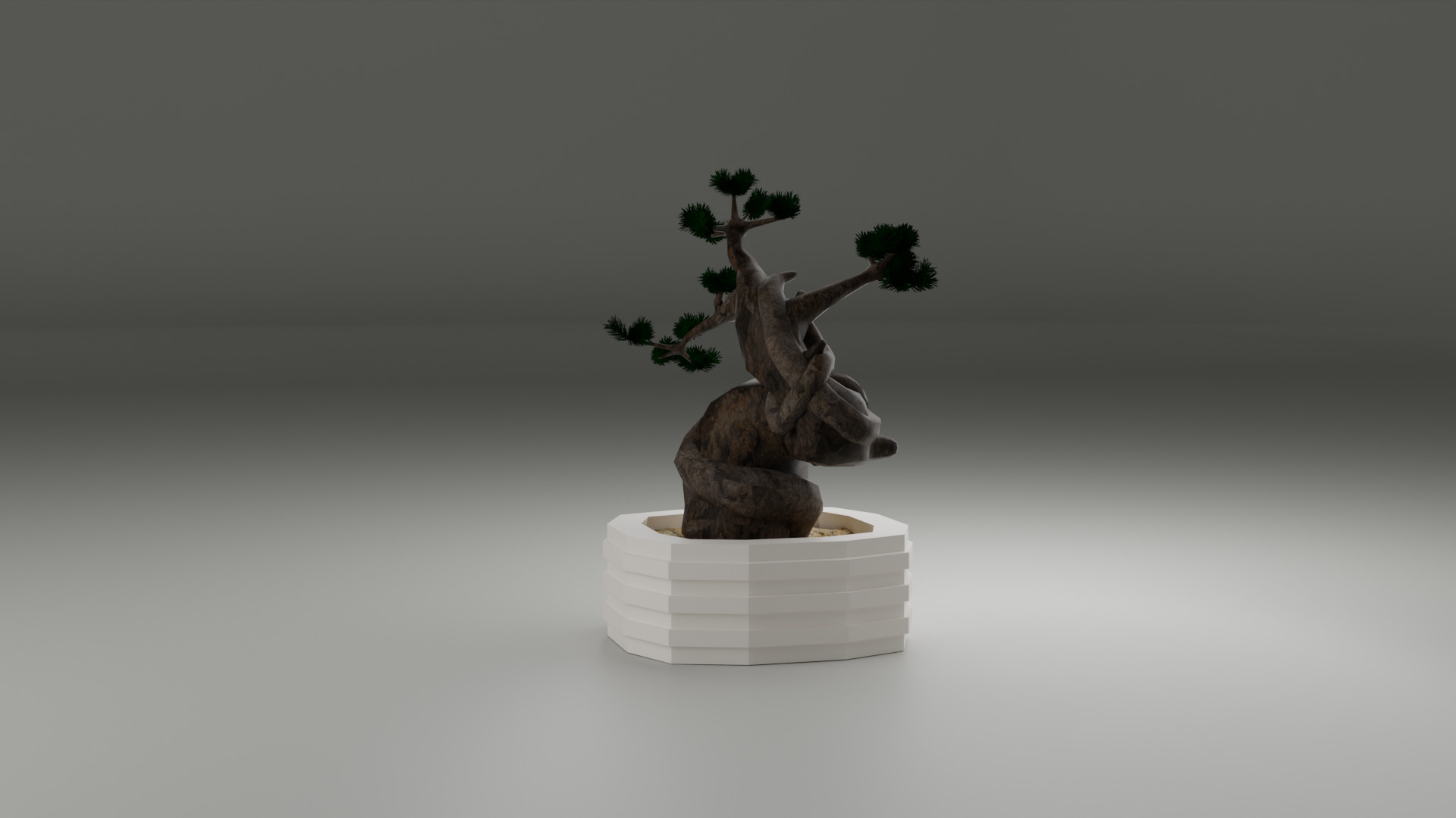 Bonsai 3D model_8