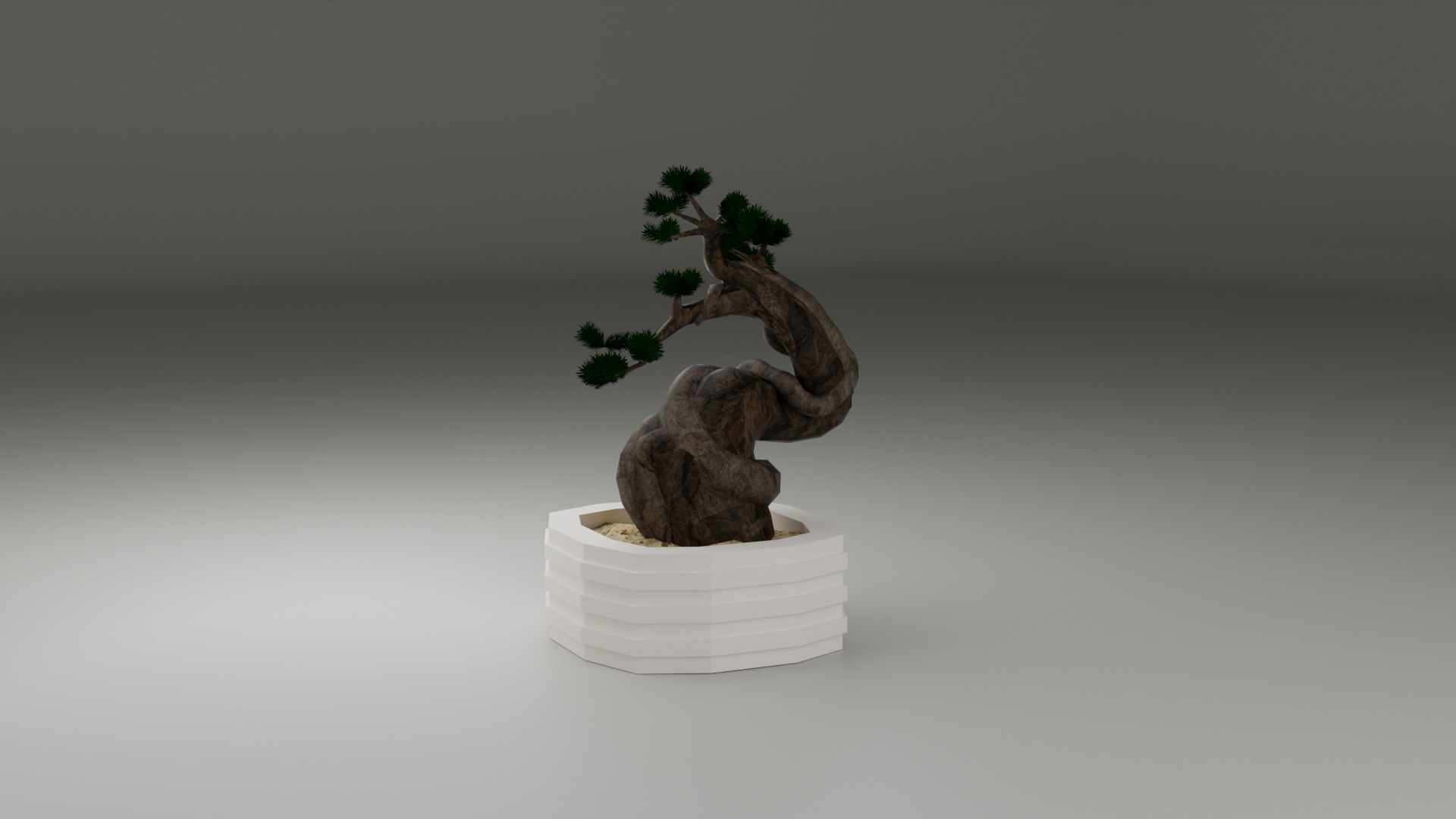 Bonsai 3D model_5
