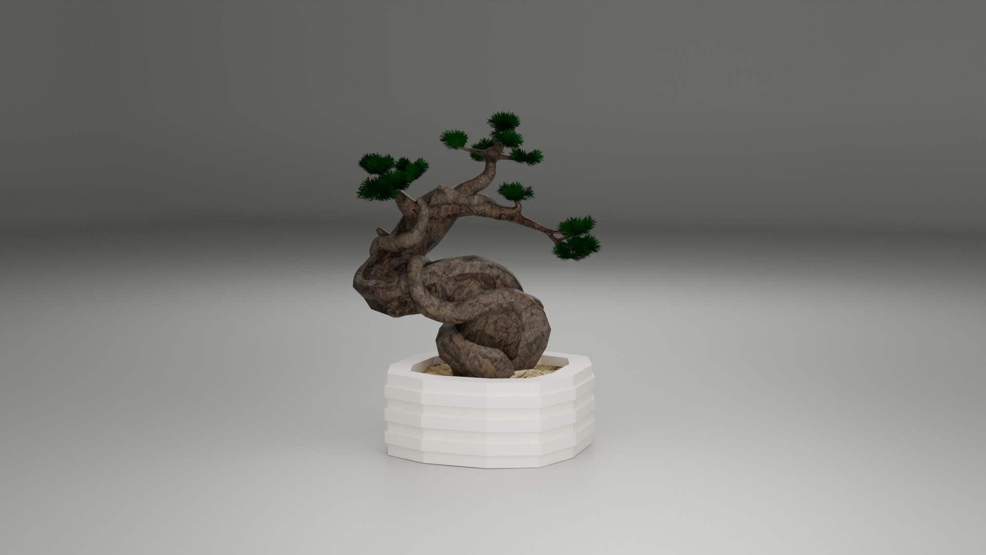 Bonsai 3D model_1
