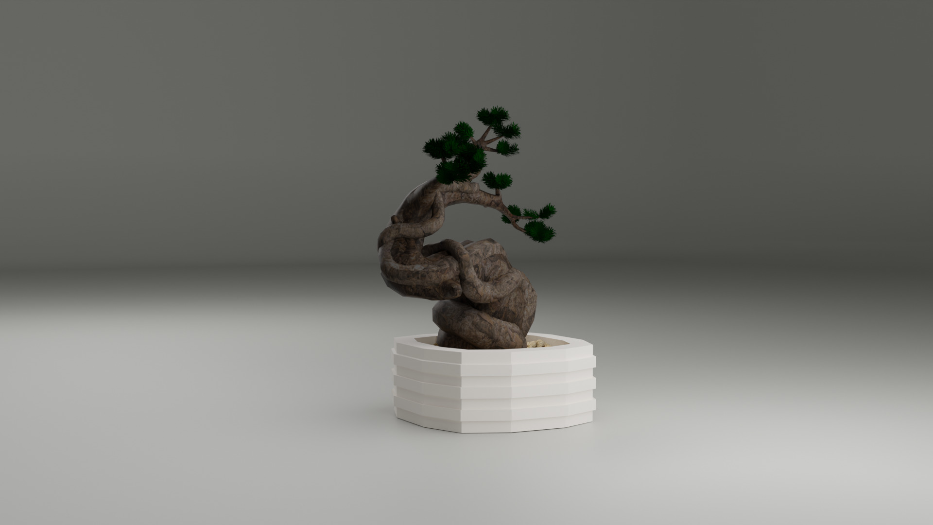 Bonsai 3D model_10
