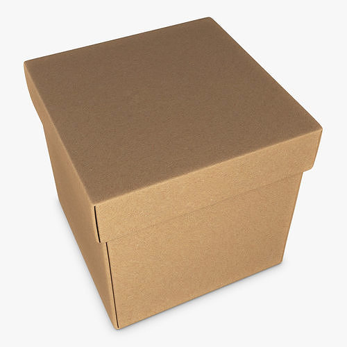 Package Cardboard Box M 2 3D model 4