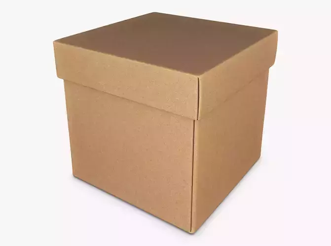 Package Cardboard Box M 2 3D model