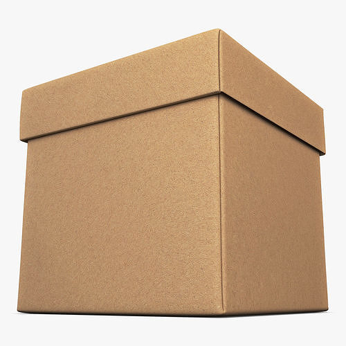 Package Cardboard Box M 2 3D model 2