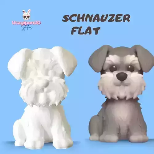Schnauzer Flat