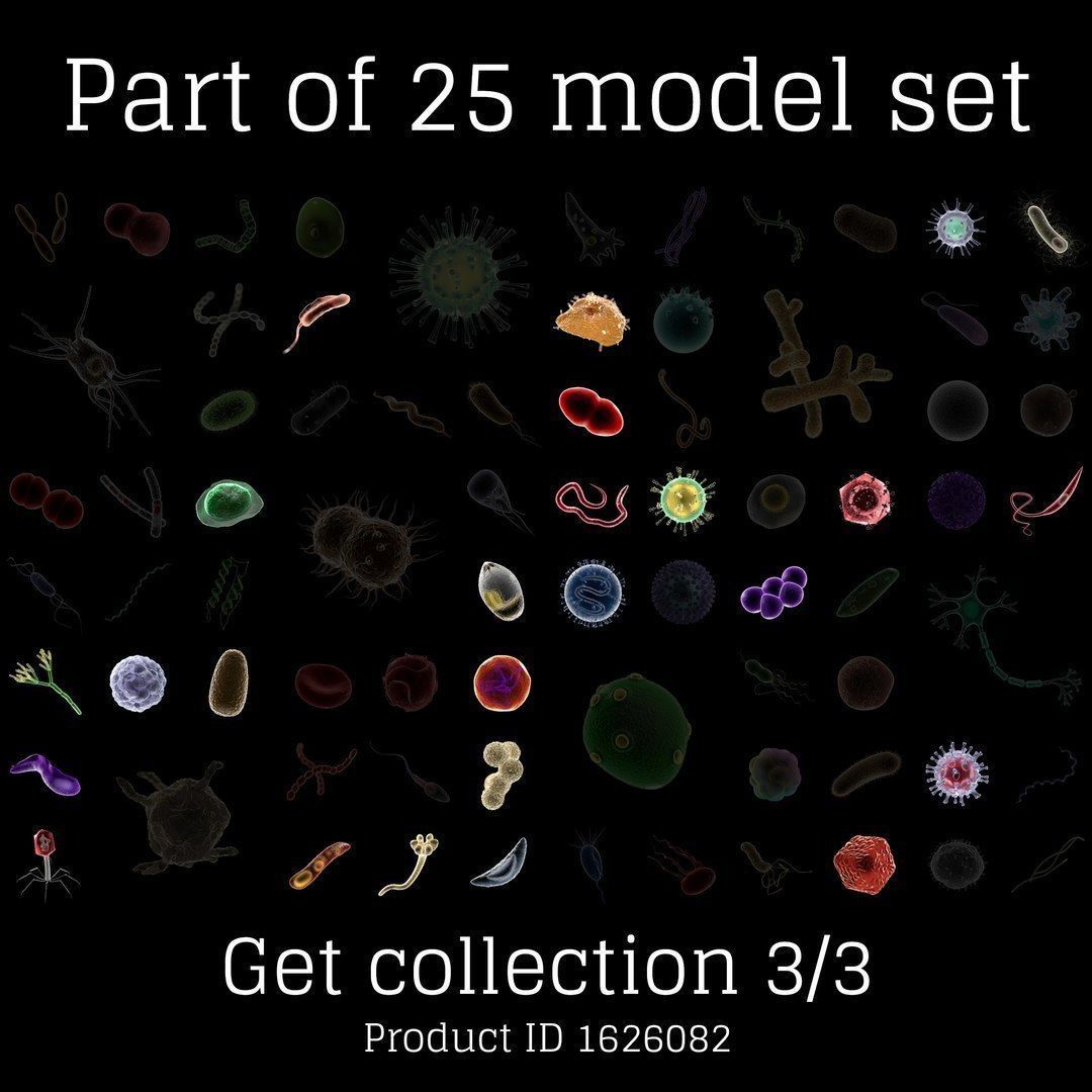 T4 - Bacteriophage 3D 3D model_1