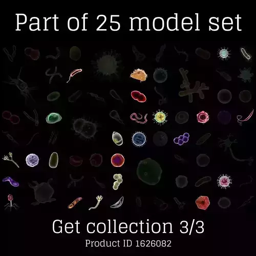 T4 - Bacteriophage 3D