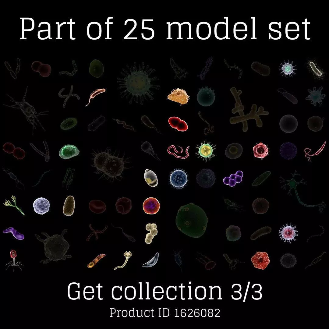 T4 - Bacteriophage 3D 3D model_0