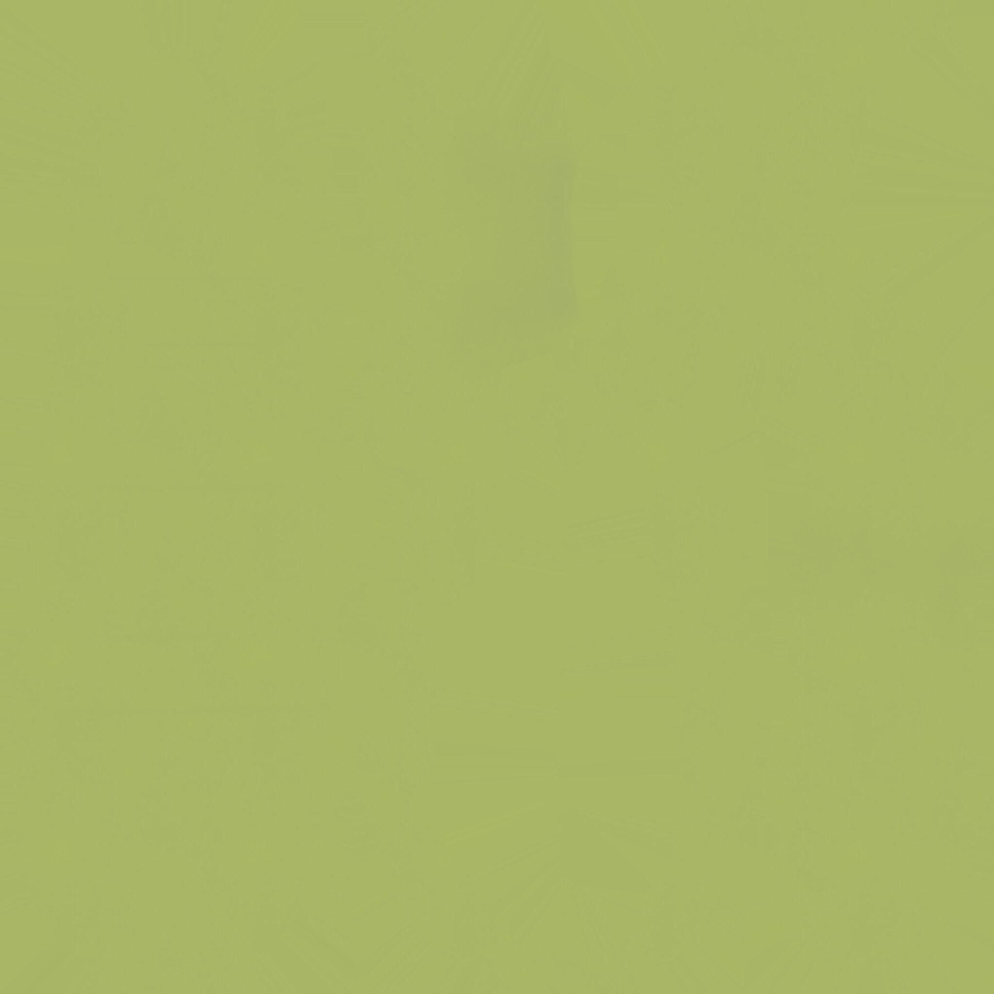 ADIDAS YEEZY SLIPPER - GREEN Low-poly 3D model_10