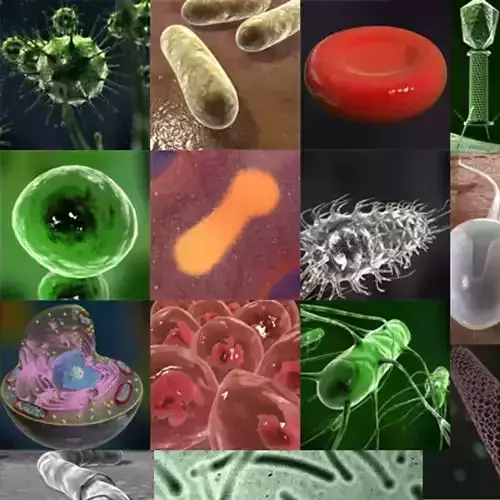 Micro objects collection 3D model
