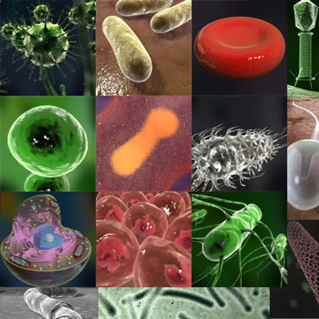 Micro objects collection 3D model