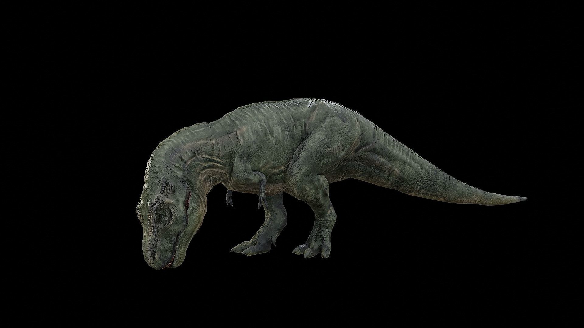 Tyrannosaurus - T-rex Dinosaur Low-poly 3D model_35