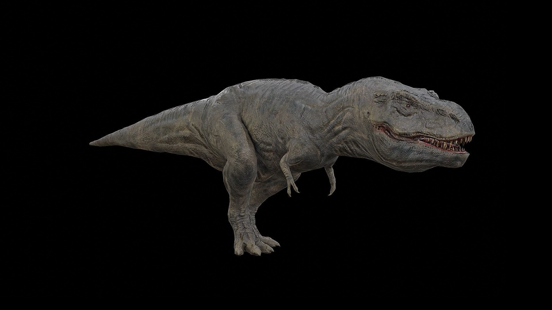 Tyrannosaurus - T-rex Dinosaur Low-poly 3D model_5