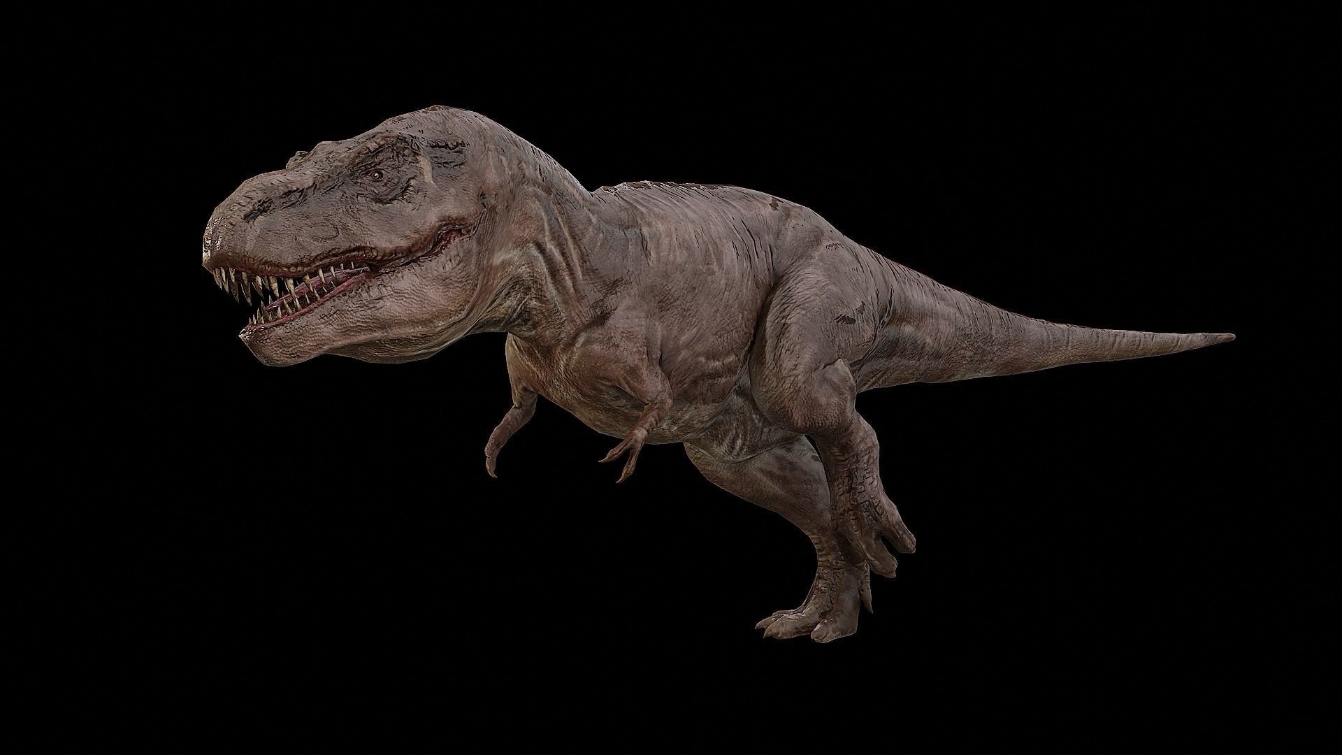 Tyrannosaurus - T-rex Dinosaur Low-poly 3D model_42