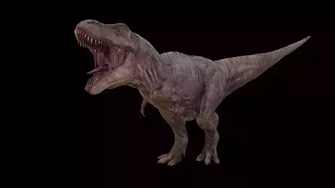 Tyrannosaurus - T-rex Dinosaur Low-poly 3D model