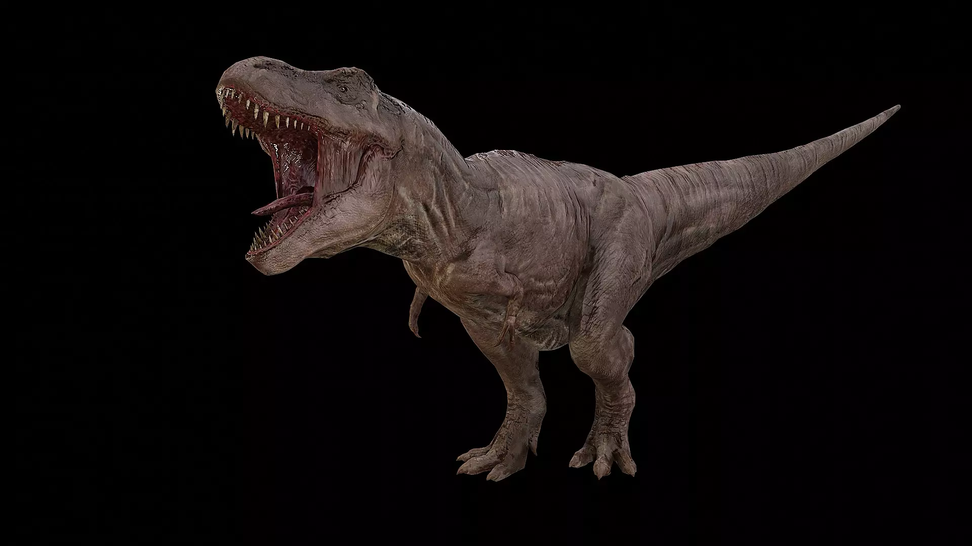 Tyrannosaurus - T-rex Dinosaur Low-poly 3D model_0