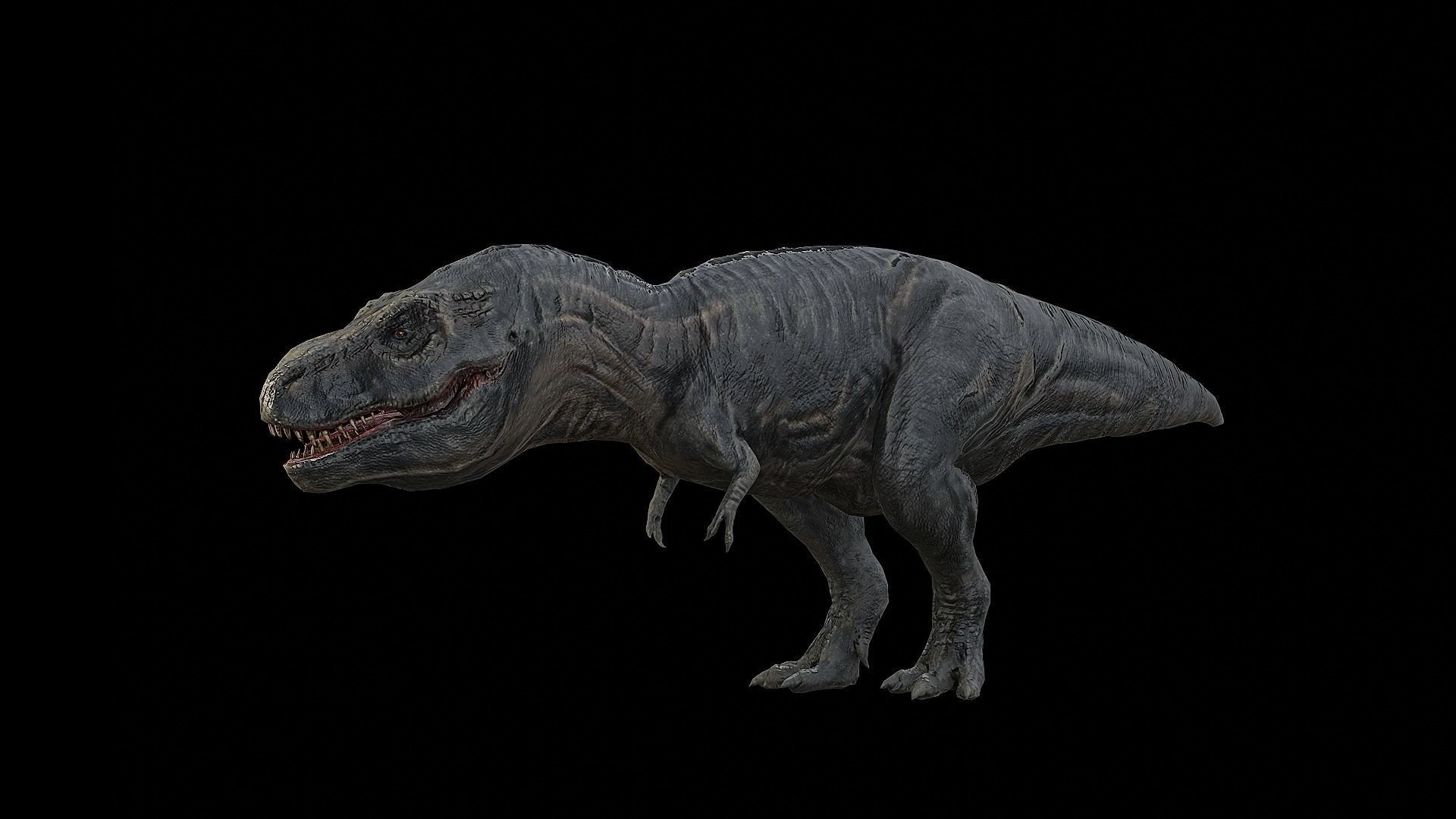 Tyrannosaurus - T-rex Dinosaur Low-poly 3D model_26