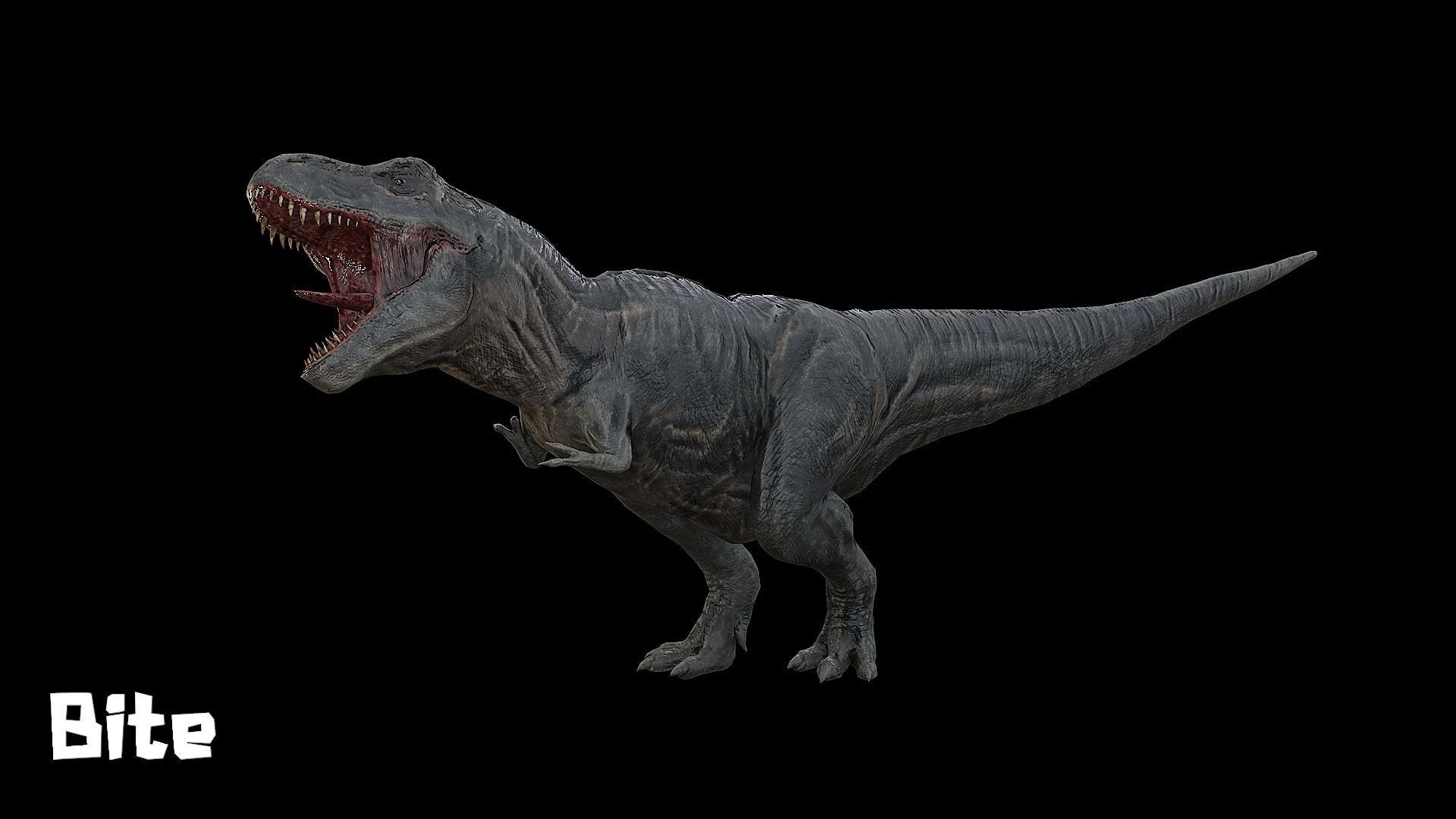 Tyrannosaurus - T-rex Dinosaur Low-poly 3D model_16
