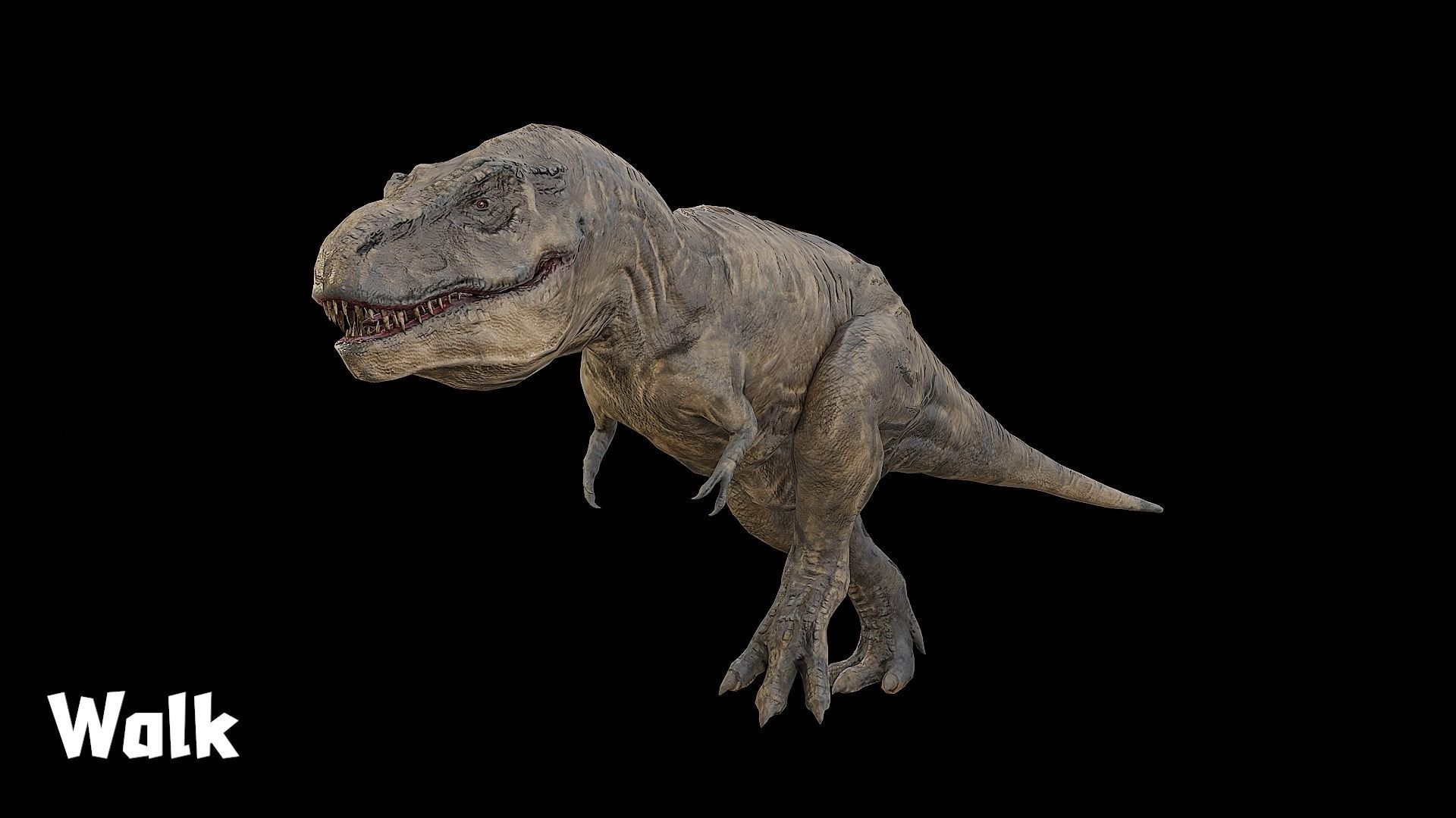 Tyrannosaurus - T-rex Dinosaur Low-poly 3D model_14