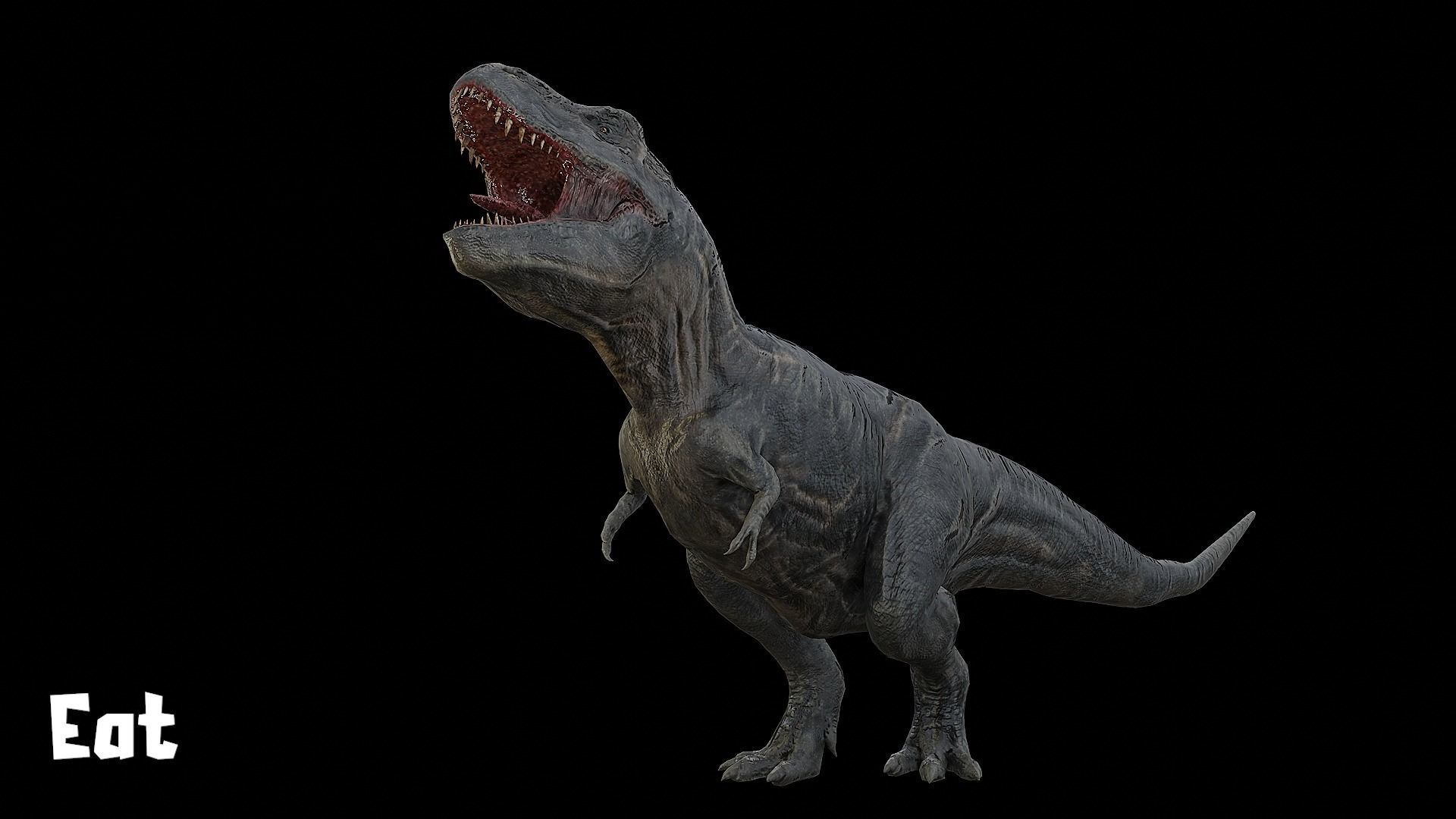Tyrannosaurus - T-rex Dinosaur Low-poly 3D model_18