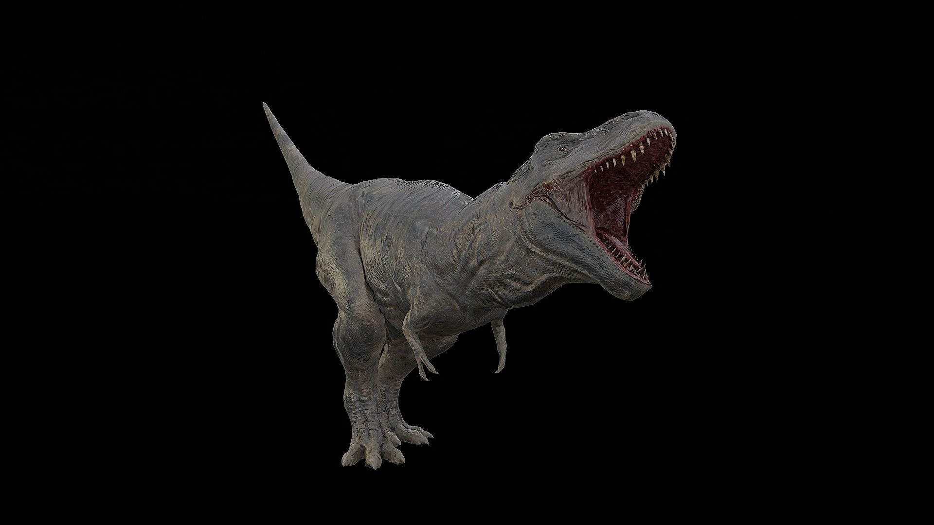 Tyrannosaurus - T-rex Dinosaur Low-poly 3D model_36
