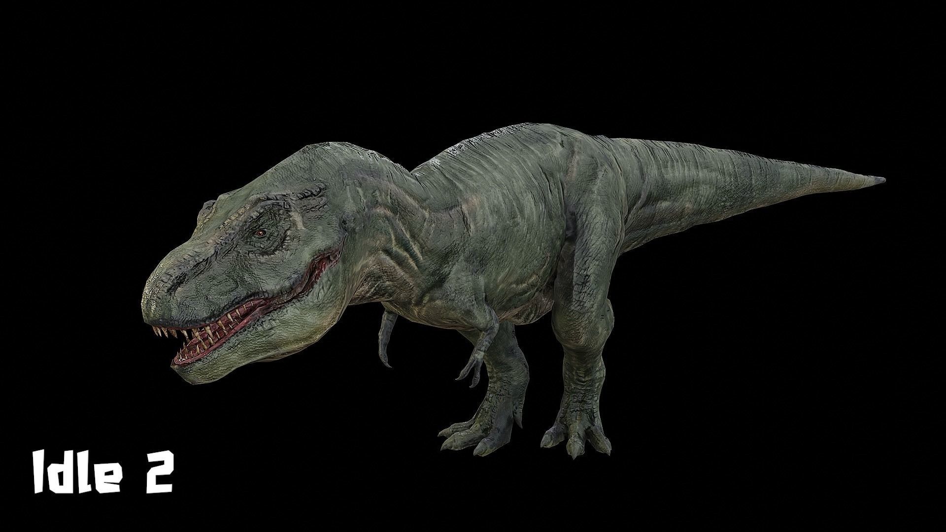 Tyrannosaurus - T-rex Dinosaur Low-poly 3D model_12
